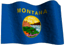 Montana State Flag