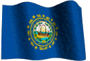 New Hampshire State Flag