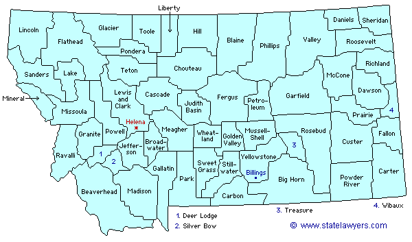 Montana County Outline Map.