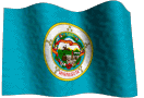Minnesota State Flag